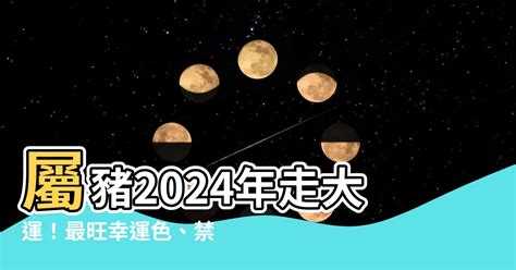 屬豬 幸運色|2024屬豬幾歲、2024屬豬運勢、屬豬幸運色、財位、禁忌